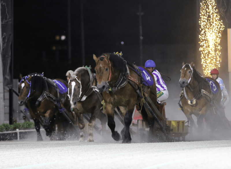 帯広市「ばんえい競馬」